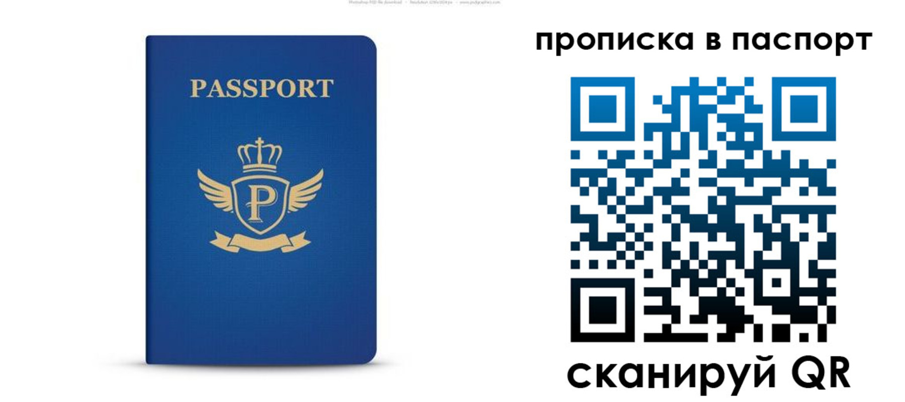 прописка 2025 в Сафоново